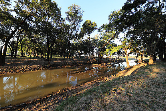 South Luangwa
