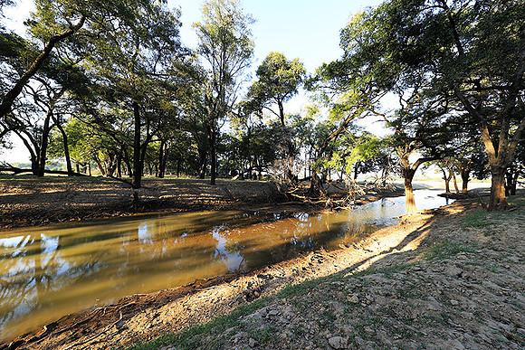 South Luangwa