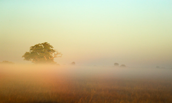 Landscape in Kafue NP