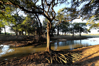 South Luangwa - Zambia