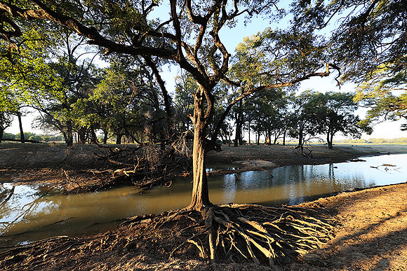 South Luangwa - Zambia