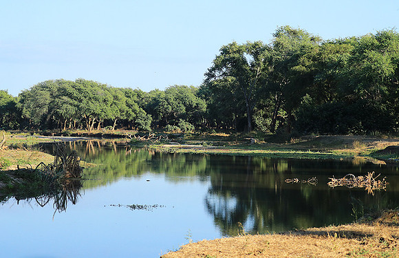 Landscape in Lower Zambezi NP