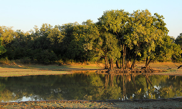 South Luangwa