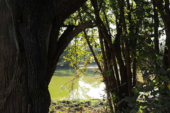 South Luangwa