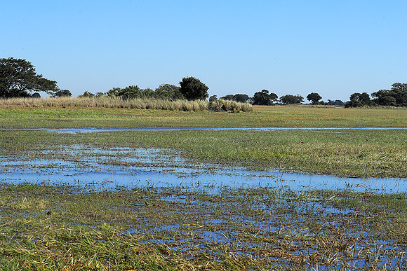 Landscape in Kafue NP