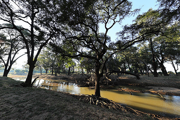 South Luangwa