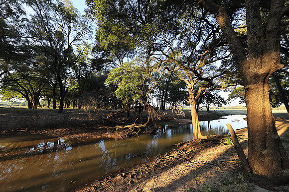 South Luangwa