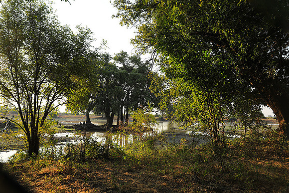South Luangwa