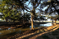 South Luangwa
