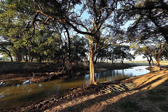 South Luangwa