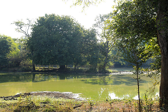 South Luangwa