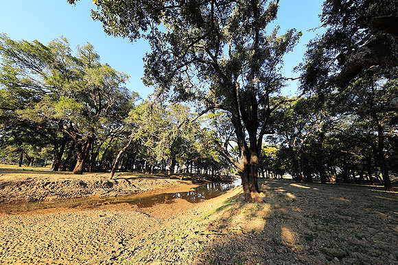 South Luangwa