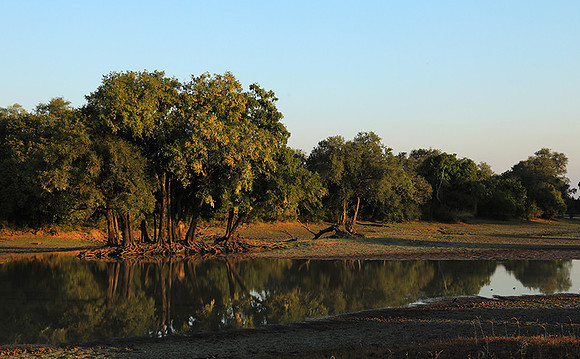 South Luangwa