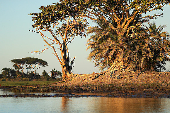 Landscape in Kafue NP