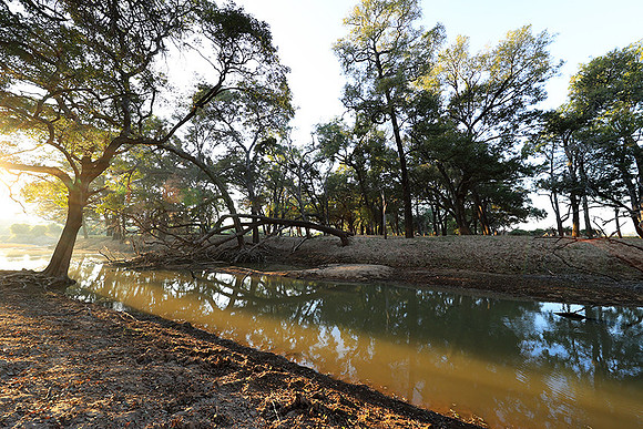 South Luangwa