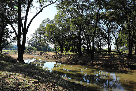 South Luangwa