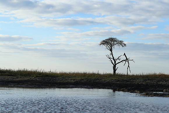 Landscape in Kafue NP