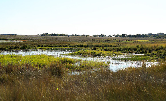 Landscape at Liuwa Plains NP