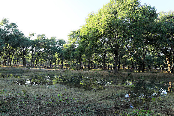 Landscape in Lower Zambezi NP