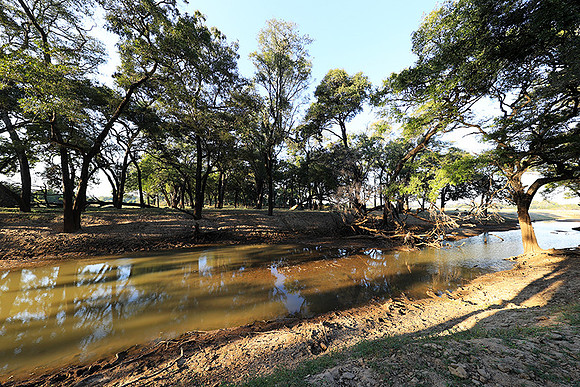 South Luangwa