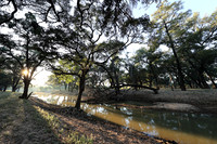 South Luangwa