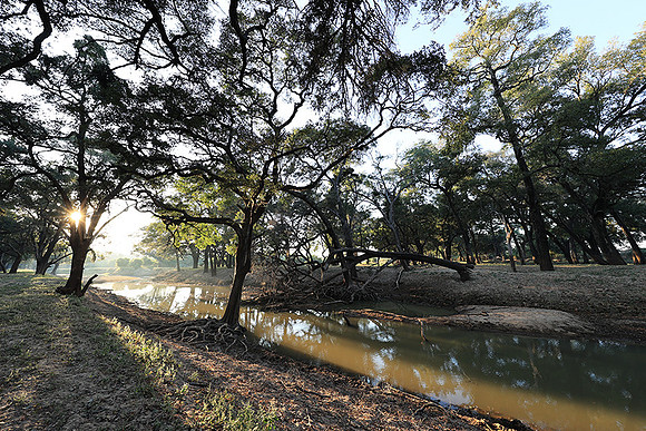 South Luangwa