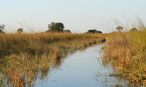 Landscape in Kafue NP
