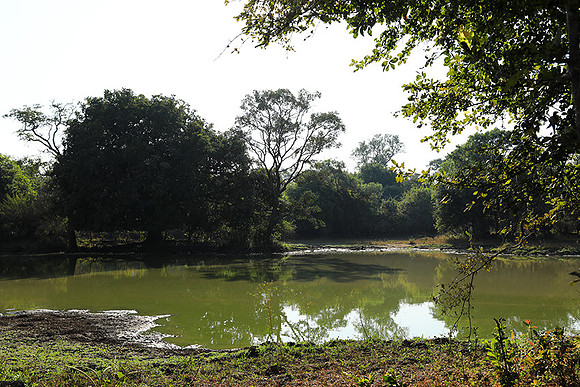 South Luangwa