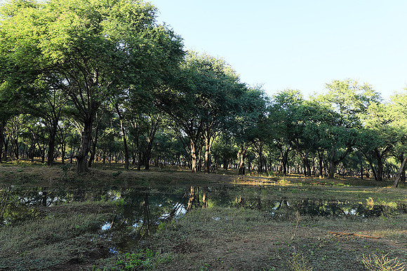 Landscape in Lower Zambezi NP