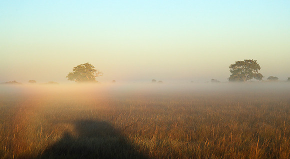 Landscape in Kafue NP