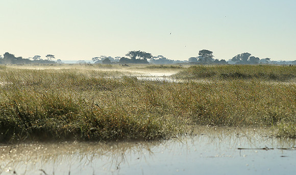 Landscape in Kafue NP