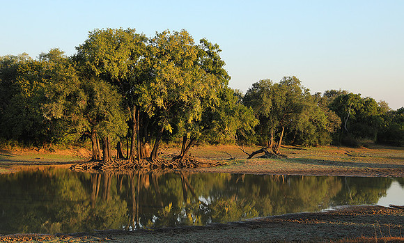 South Luangwa