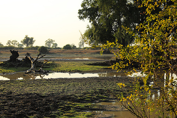 South Luangwa