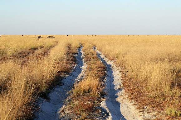 Landscape at Liuwa Plains NP