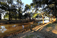 South Luangwa