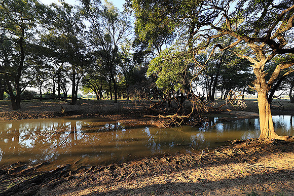 South Luangwa