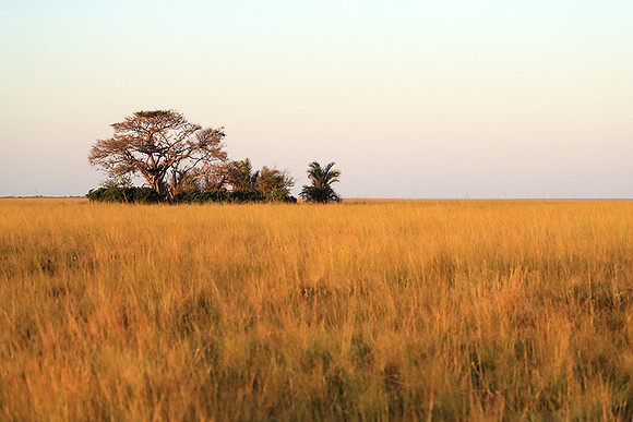 Landscape at Liuwa Plains NP