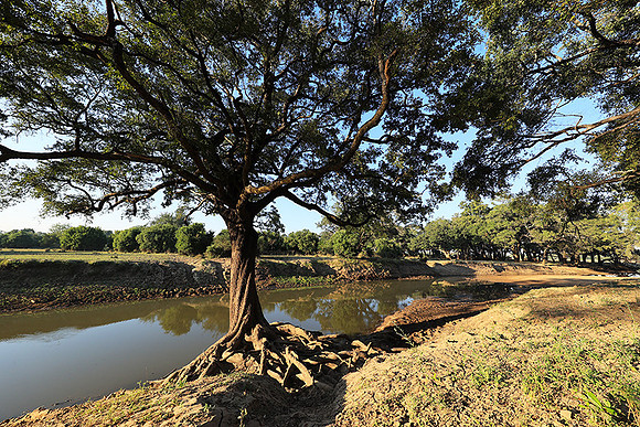 South Luangwa
