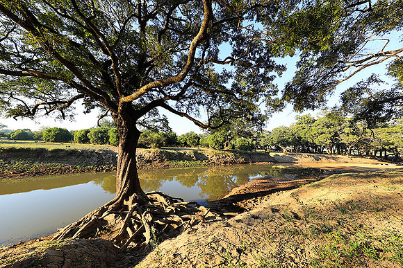 South Luangwa