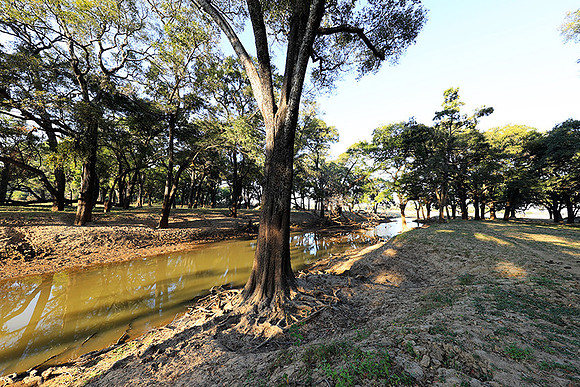 South Luangwa