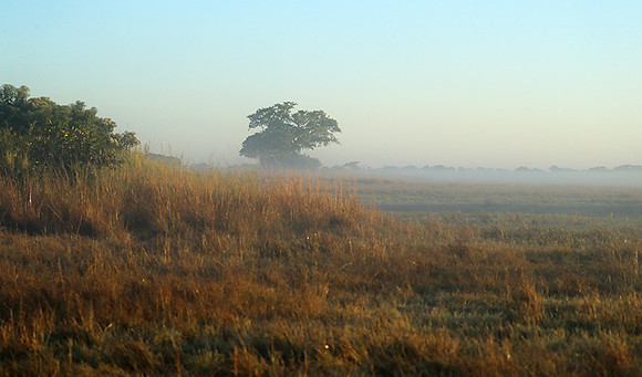 Landscape in Kafue NP