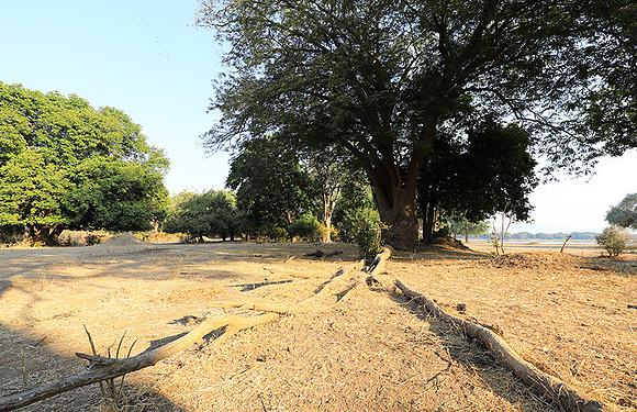 Tembo Plains