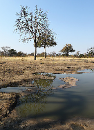 Hwange National Park