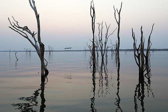 Lake Kariba - Matusadona NP