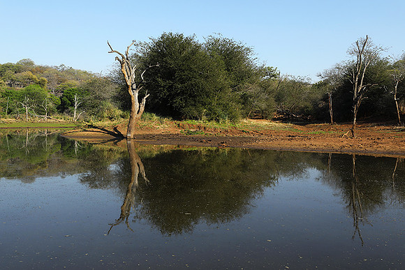 Dam lake Malilangwe