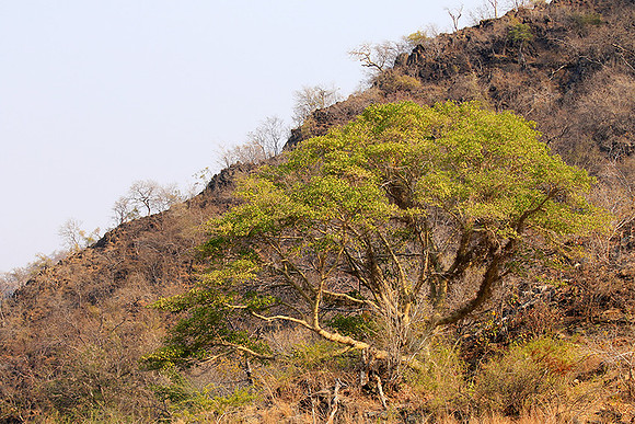 Gorge Sanyati - Matusadona NP