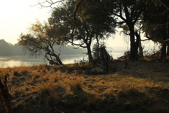 Matetsi game reserve