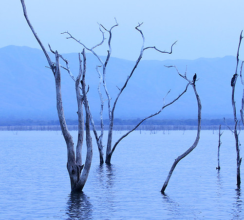 Lake Kariba - Matusadona NP