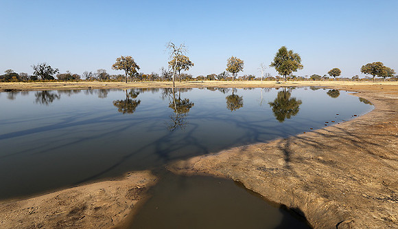 Hwange National park