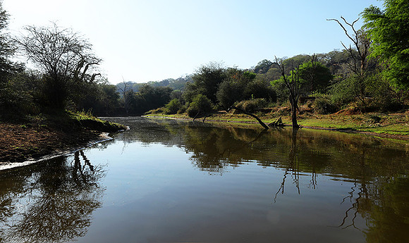 Dam Malilangwe lake
